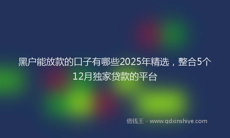 黑户能放款的口子有哪些2025年精选，整合5个12月独家贷款的平台