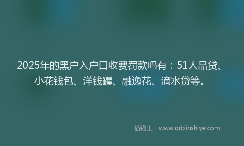 2025年的黑户入户口收费罚款吗有：51人品贷、小花钱包、洋钱罐、融逸花、滴水贷等。