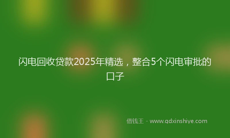 闪电回收贷款2025年精选，整合5个闪电审批的口子