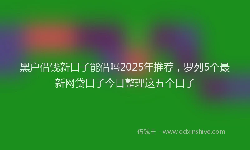 黑户借钱新口子能借吗2025年推荐，罗列5个最新网贷口子今日整理这五个口子