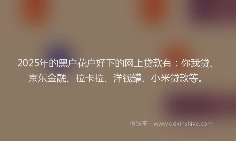 2025年的黑户花户好下的网上贷款有:你我贷、京东金融、拉卡拉、洋钱罐、小米贷款等。