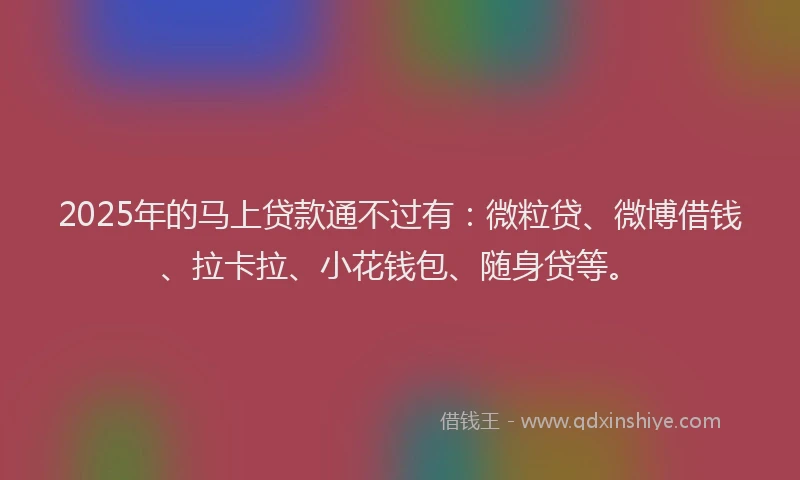 2025年的马上贷款通不过有：微粒贷、微博借钱、拉卡拉、小花钱包、随身贷等。