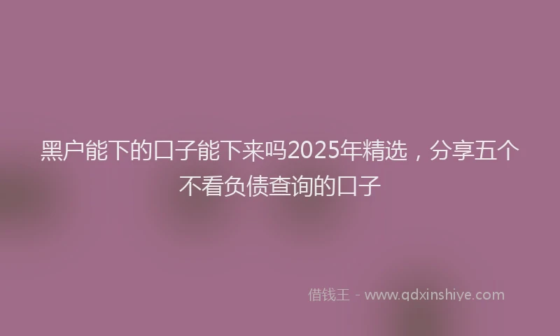 黑户能下的口子能下来吗2025年精选，分享五个不看负债查询的口子