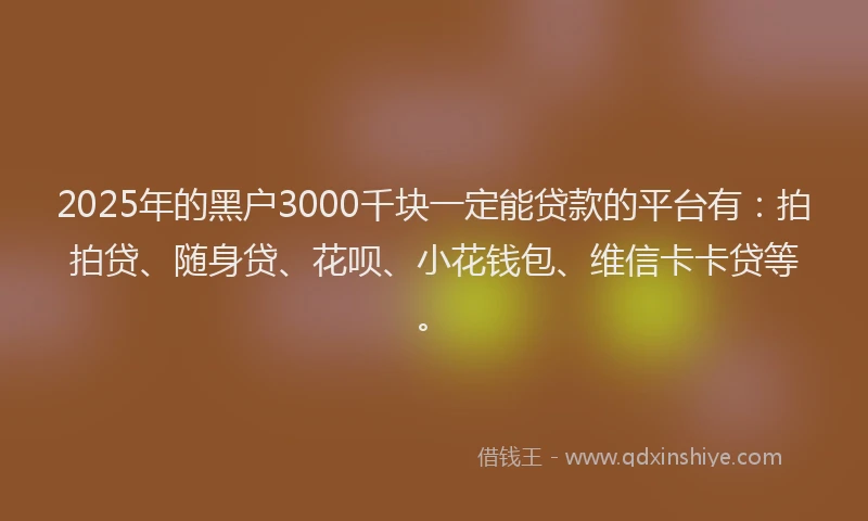 2025年的黑户3000千块一定能贷款的平台有：拍拍贷、随身贷、花呗、小花钱包、维信卡卡贷等。