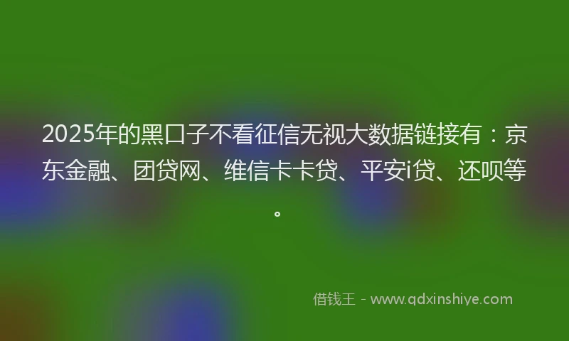 2025年的黑口子不看征信无视大数据链接有：京东金融、团贷网、维信卡卡贷、平安i贷、还呗等。