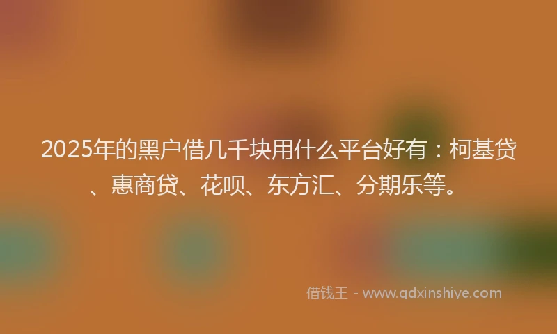 2025年的黑户借几千块用什么平台好有：柯基贷、惠商贷、花呗、东方汇、分期乐等。