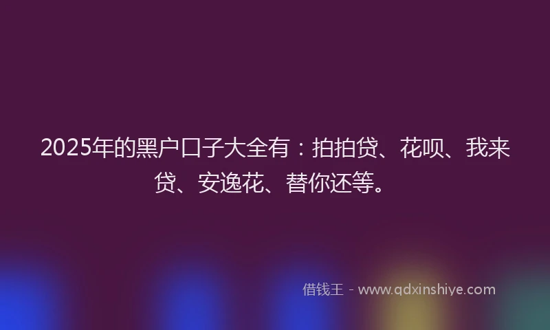 2025年的黑户口子大全有：拍拍贷、花呗、我来贷、安逸花、替你还等。