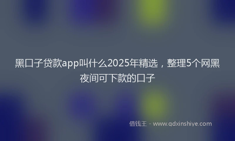 黑口子贷款app叫什么2025年精选，整理5个网黑夜间可下款的口子