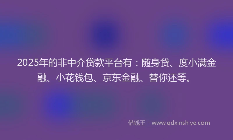 2025年的非中介贷款平台有：随身贷、度小满金融、小花钱包、京东金融、替你还等。