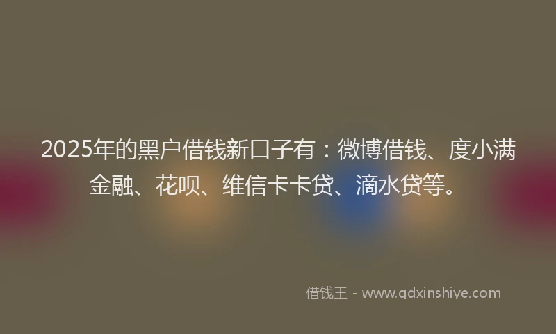 2025年的黑户借钱新口子有：微博借钱、度小满金融、花呗、维信卡卡贷、滴水贷等。