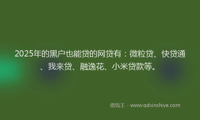 2025年的黑户也能贷的网贷有：微粒贷、快贷通、我来贷、融逸花、小米贷款等。