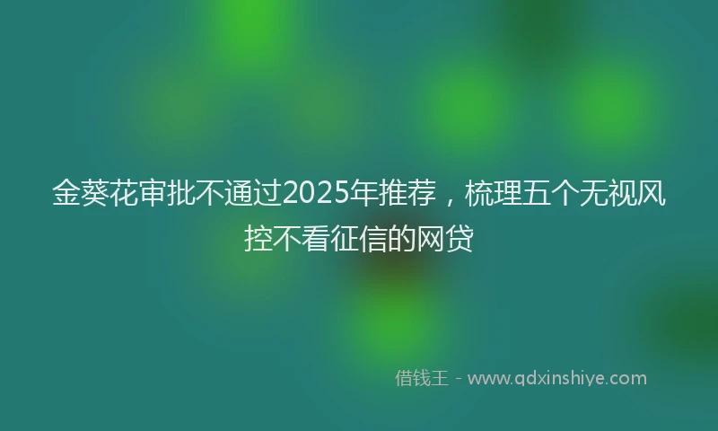 金葵花审批不通过2025年推荐，梳理五个无视风控不看征信的网贷