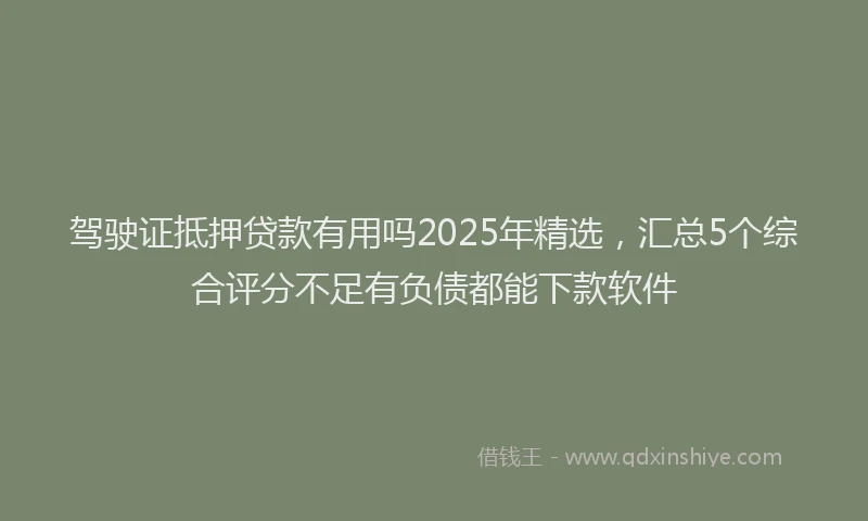 驾驶证抵押贷款有用吗2025年精选，汇总5个综合评分不足有负债都能下款软件