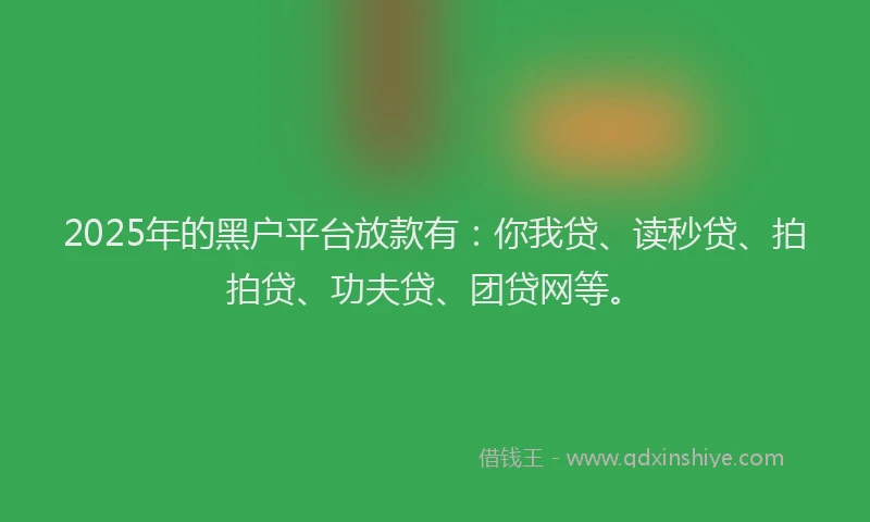 2025年的黑户平台放款有：你我贷、读秒贷、拍拍贷、功夫贷、团贷网等。