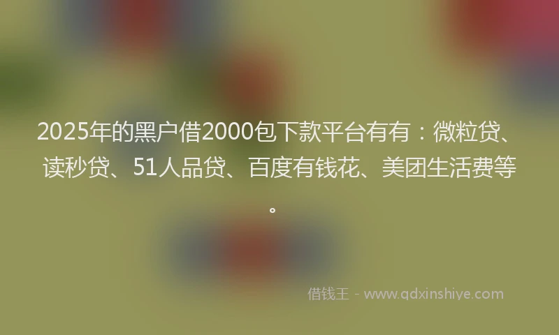 2025年的黑户借2000包下款平台有有：微粒贷、读秒贷、51人品贷、百度有钱花、美团生活费等。
