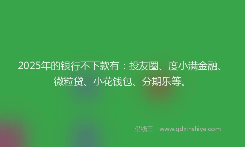 2025年的银行不下款有：投友圈、度小满金融、微粒贷、小花钱包、分期乐等。