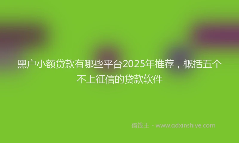 黑户小额贷款有哪些平台2025年推荐，概括五个不上征信的贷款软件
