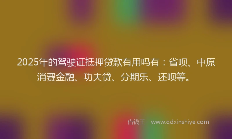 2025年的驾驶证抵押贷款有用吗有：省呗、中原消费金融、功夫贷、分期乐、还呗等。