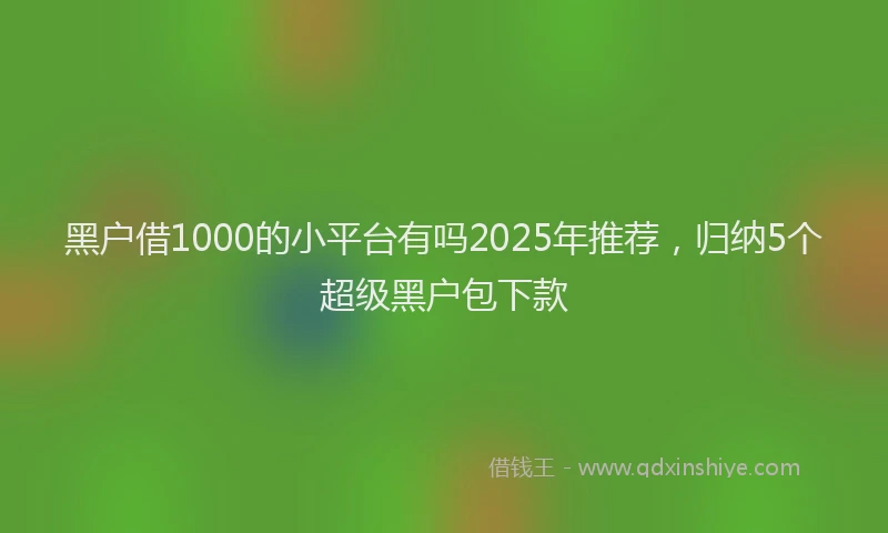 黑户借1000的小平台有吗2025年推荐，归纳5个超级黑户包下款