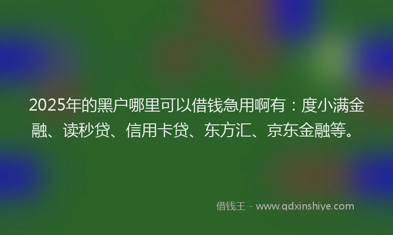 2025年的黑户哪里可以借钱急用啊有：度小满金融、读秒贷、信用卡贷、东方汇、京东金融等。