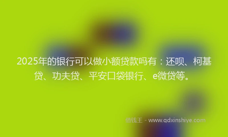 2025年的银行可以做小额贷款吗有：还呗、柯基贷、功夫贷、平安口袋银行、e微贷等。