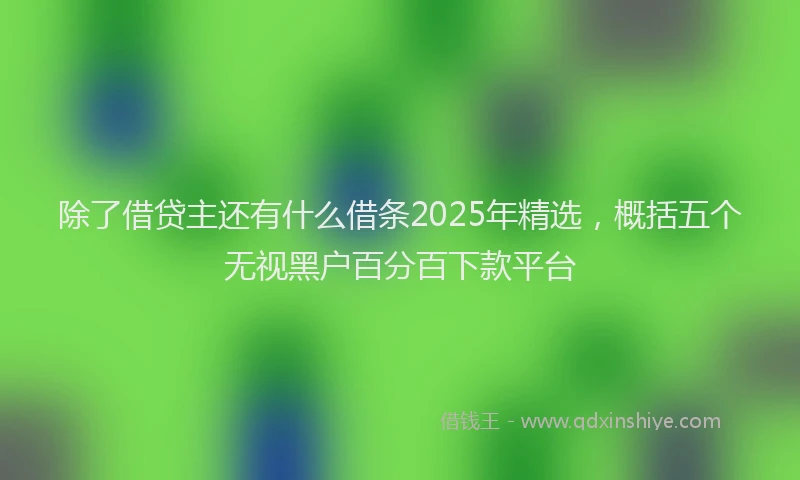 除了借贷主还有什么借条2025年精选，概括五个无视黑户百分百下款平台