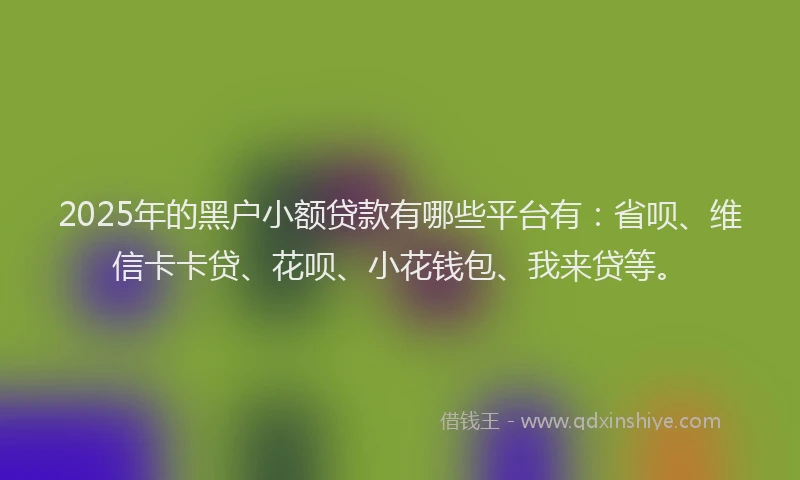 2025年的黑户小额贷款有哪些平台有：省呗、维信卡卡贷、花呗、小花钱包、我来贷等。