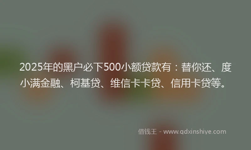 2025年的黑户必下500小额贷款有：替你还、度小满金融、柯基贷、维信卡卡贷、信用卡贷等。