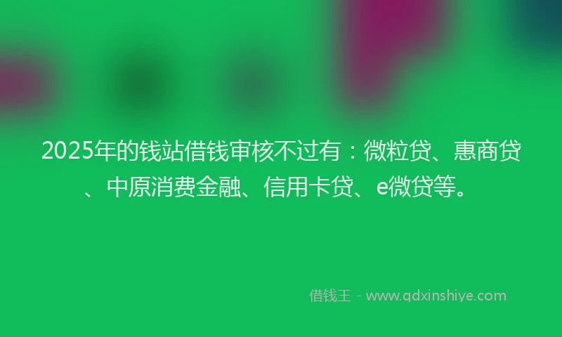 2025年的钱站借钱审核不过有：微粒贷、惠商贷、中原消费金融、信用卡贷、e微贷等。