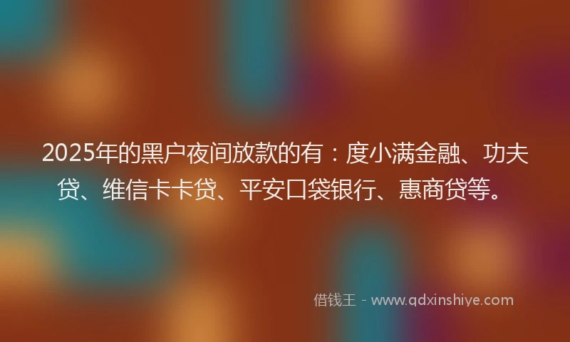 2025年的黑户夜间放款的有：度小满金融、功夫贷、维信卡卡贷、平安口袋银行、惠商贷等。