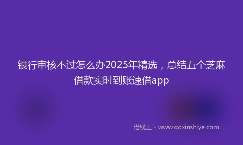 银行审核不过怎么办2025年精选，总结五个芝麻借款实时到账速借app