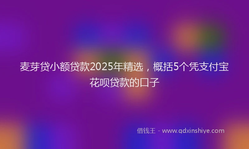 麦芽贷小额贷款2025年精选，概括5个凭支付宝花呗贷款的口子