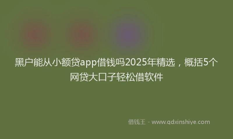 黑户能从小额贷app借钱吗2025年精选，概括5个网贷大口子轻松借软件