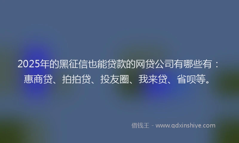 2025年的黑征信也能贷款的网贷公司有哪些有：惠商贷、拍拍贷、投友圈、我来贷、省呗等。
