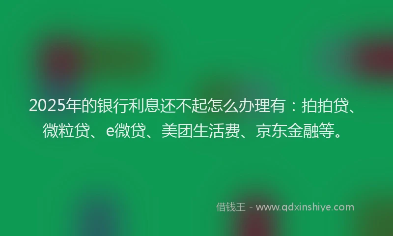 2025年的银行利息还不起怎么办理有：拍拍贷、微粒贷、e微贷、美团生活费、京东金融等。