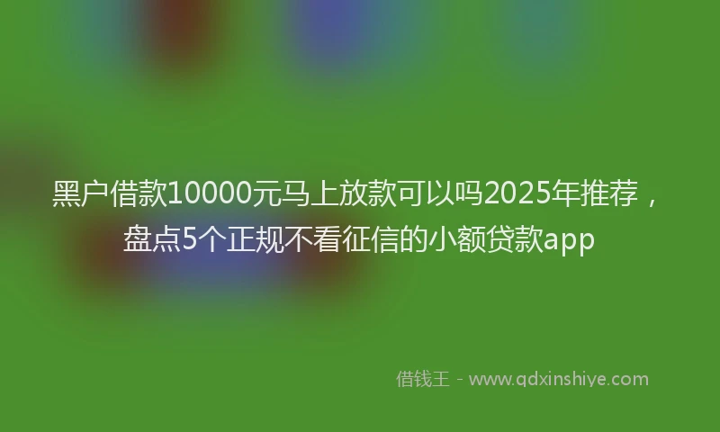 黑户借款10000元马上放款可以吗2025年推荐，盘点5个正规不看征信的小额贷款app