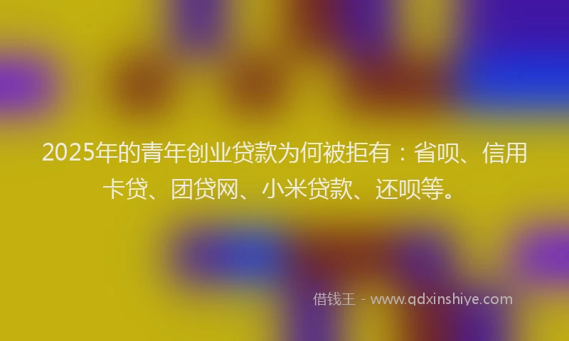 2025年的青年创业贷款为何被拒有：省呗、信用卡贷、团贷网、小米贷款、还呗等。