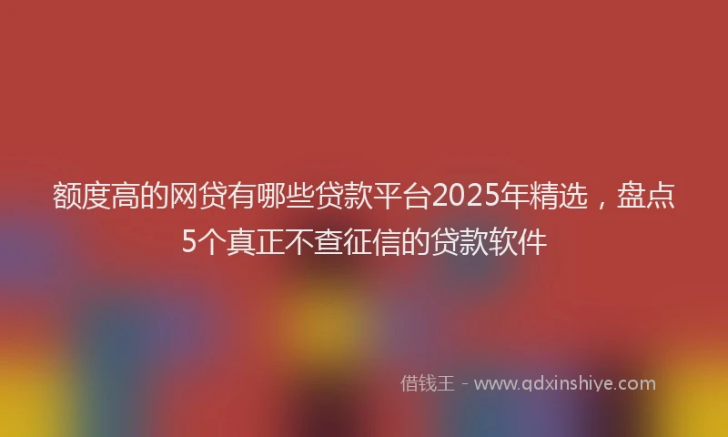 额度高的网贷有哪些贷款平台2025年精选，盘点5个真正不查征信的贷款软件