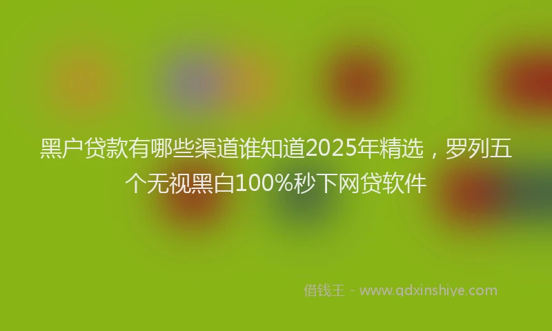 黑户贷款有哪些渠道谁知道2025年精选，罗列五个无视黑白100%秒下网贷软件