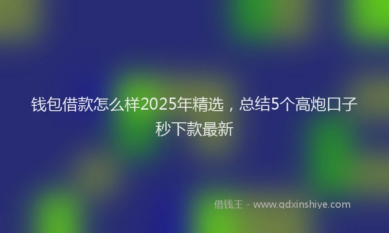 钱包借款怎么样2025年精选，总结5个高炮口子秒下款最新