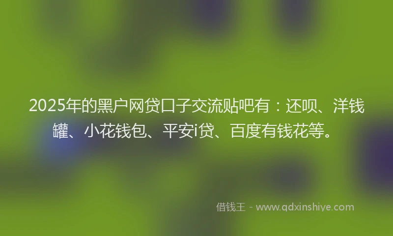 2025年的黑户网贷口子交流贴吧有：还呗、洋钱罐、小花钱包、平安i贷、百度有钱花等。