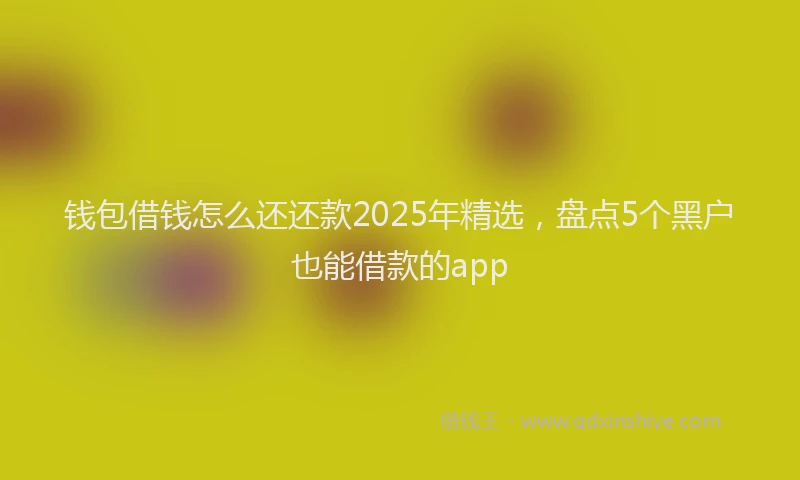 钱包借钱怎么还还款2025年精选，盘点5个黑户也能借款的app