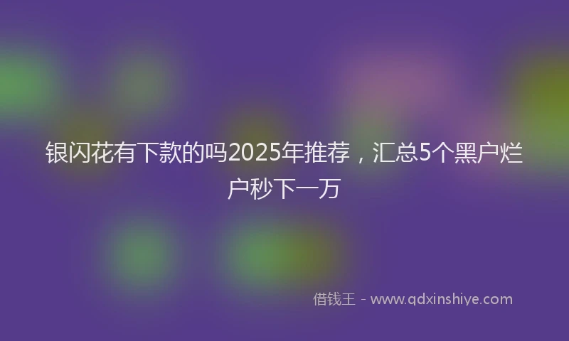 银闪花有下款的吗2025年推荐，汇总5个黑户烂户秒下一万