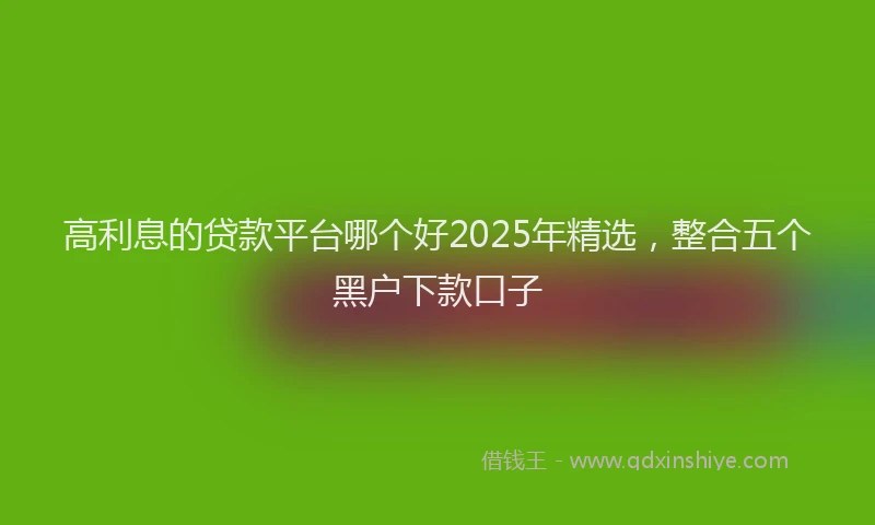 高利息的贷款平台哪个好2025年精选，整合五个黑户下款口子