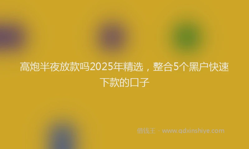 高炮半夜放款吗2025年精选，整合5个黑户快速下款的口子