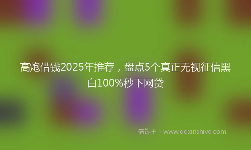 高炮借钱2025年推荐，盘点5个真正无视征信黑白100%秒下网贷