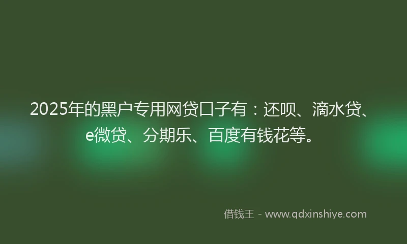 2025年的黑户专用网贷口子有：还呗、滴水贷、e微贷、分期乐、百度有钱花等。