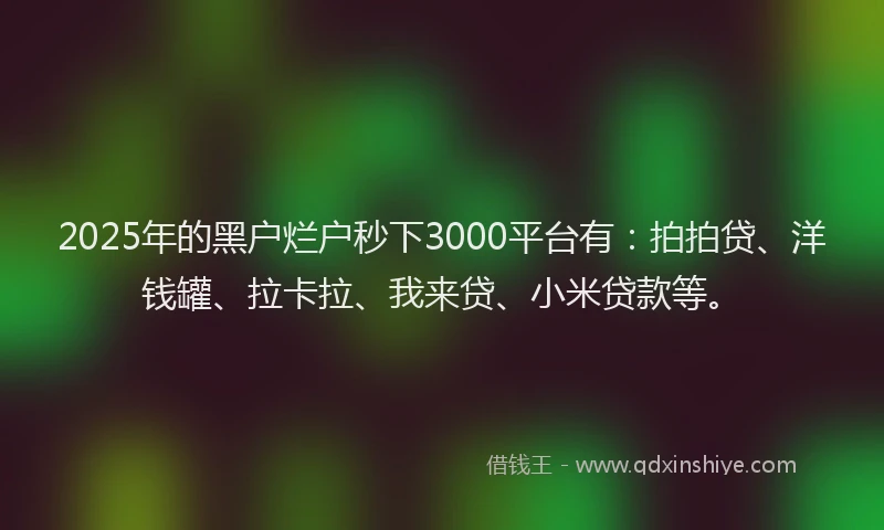 2025年的黑户烂户秒下3000平台有:拍拍贷、洋钱罐、拉卡拉、我来贷、小米贷款等。