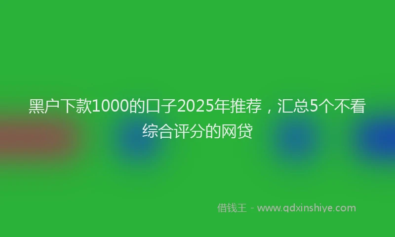黑户下款1000的口子2025年推荐，汇总5个不看综合评分的网贷