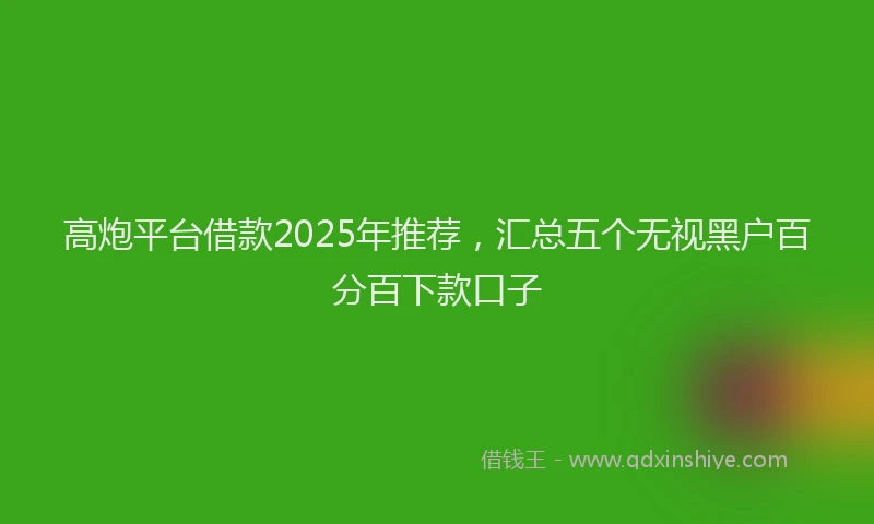 高炮平台借款2025年推荐，汇总五个无视黑户百分百下款口子